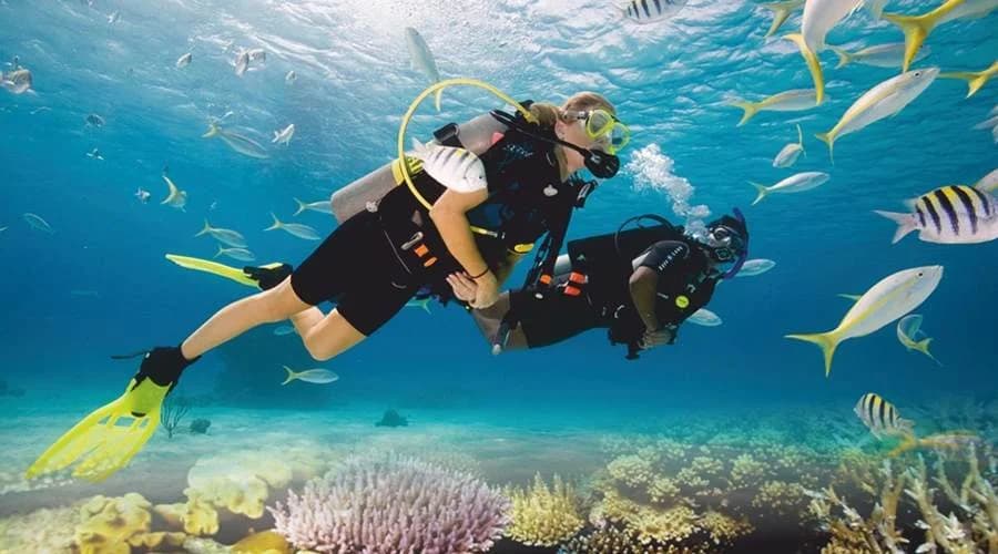 Scuba Diving